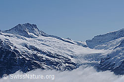 F061963: Bärglistock, Lauteraarsattel und Oberer Grindelwaldgletscher