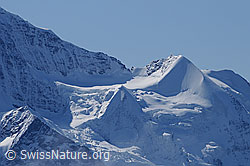F061973: Schneehorn, Chlys Silberhorn und Silberhorn