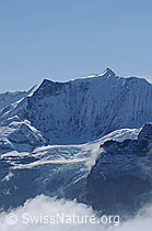 Photo: Ochs (Klein Fiescherhorn), Hinter-Fiescherhorn und Gross Fiescherhorn