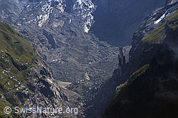 Foto: Unterer Grindelwaldgletscher
