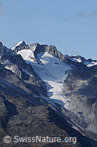 F062160: Oberaarhorn, Hinter Galmihorn und Bächigletscher