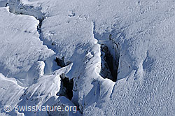 F062417: Gletscherspalten im Rappegletscher