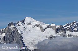 Foto: Klein Wannenhorn, Gross Wannenhorn und Triftgletscher