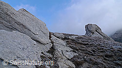 F062468: Weisse Felsen