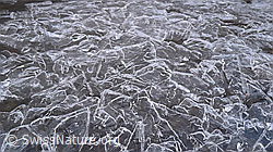 F062493: Eisgebilde in einer Eisdecke