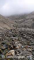 F062506: Bachbett und Felslandschaft