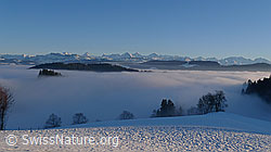 F064048: Nebelmeer im Winter