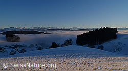 F064051: Nebelmeer über dem Emmental