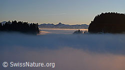 F064054: Nebelgrenze