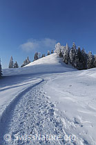 F064139: Winterwanderweg in Raureiflandschaft