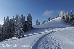 F064141: Winterwanderweg