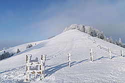 F064149: Winterlandschaft mit starkem Raureif