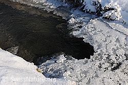 F064837: Eiskristalle auf Eisdecke