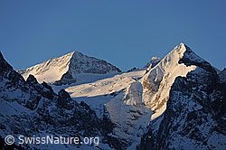 F065329: Rosenhorn und Wellhorn