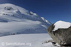F065939: Kultstein mit Schnee