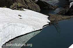 F067936: Schneefeld am Ufer