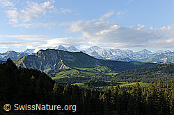 F068643: Voralpengebiet mit Wäldern und Alpenkette der Berner Alpen im Hintergrund