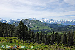 F068723: Berner Alpen und Voralpenlandschaft mit Alpweiden und Wald