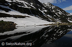F068741: Spiegelbild im Halsesee