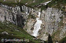 F068938: Schlucht mit Wasserfall