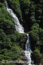 F068950: Erfrischender Wasserfall