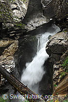 F069502: Pochtefall, Griesschlucht, Kiental