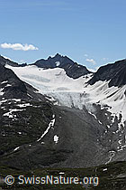 Foto: Muttengletscher und Pizzo Rotondo