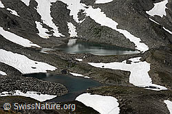 F070227: Schwärziseeli (Mittlerer und oberer Bergsee)