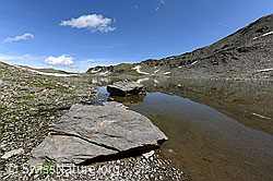 F070262: Felsplatten im Schwärziseeli