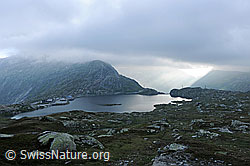 F070575: Stimmung über dem Grimselpass
