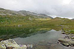 F070667: Lengsee mit Spiegelung