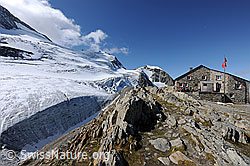 F071098: Tierberglihütte (Hütte des Schweizer Alpen-Club SAC)