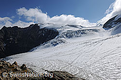 F071104: Gletscherlandschaft im Sustengebiet