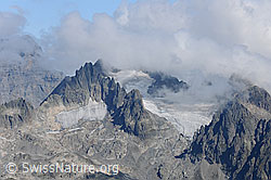 F071105: Fünffigerstöcke und Obertalgletscher