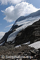 F071333: Chaltwassergletscher