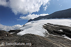 F071341: Chaltwassergletscher und Felsgrat am Monte Leone
