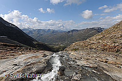 F071350: Simplongebiet