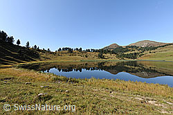 F071556: Herbstbild Sewenseeli