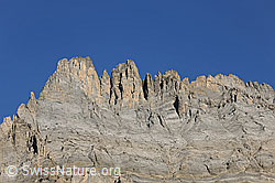 F071806: Felstürme am Südgrat des Doldenhorn