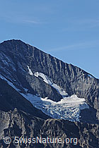 F071876: Altels und Balmhorngletscher