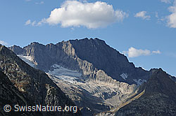 Photo: Ritzlihorn, Ärlengrätli and Ärlen glacier (Ärlengletscher)