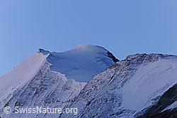 Foto: Bishorn und Turtmanngletscher am frühen Morgen