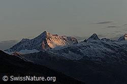 F072299: Morgenstimmung mit Doldenhorn und Hockenhorn