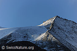 Foto: Stierberg und Turtmanngletscher
