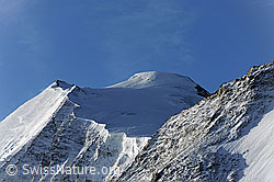 Foto: Bishorn und Turtmanngletscher