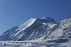 Foto: Bishorn, Turtmanngletscher und Brunegggletscher