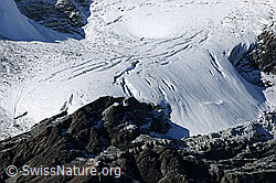 F072398: Diablonsgletscher