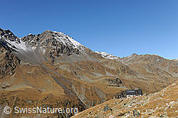 F072425: Turtmannhütte in herbstlicher Berglandschaft
