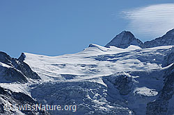 F072640: Bouquetins, Grand Cornier und Glacier de Moiry
