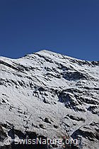 F072673: Garde de Bordon